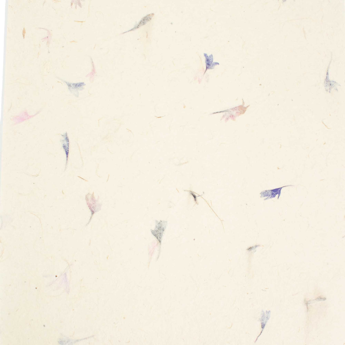 A4 - Lokta Craft Paper (20 sheet pack) - Cornflower