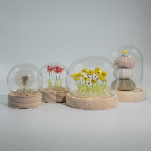 Floral Glow Garden Dome