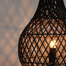 Lamps and Shades