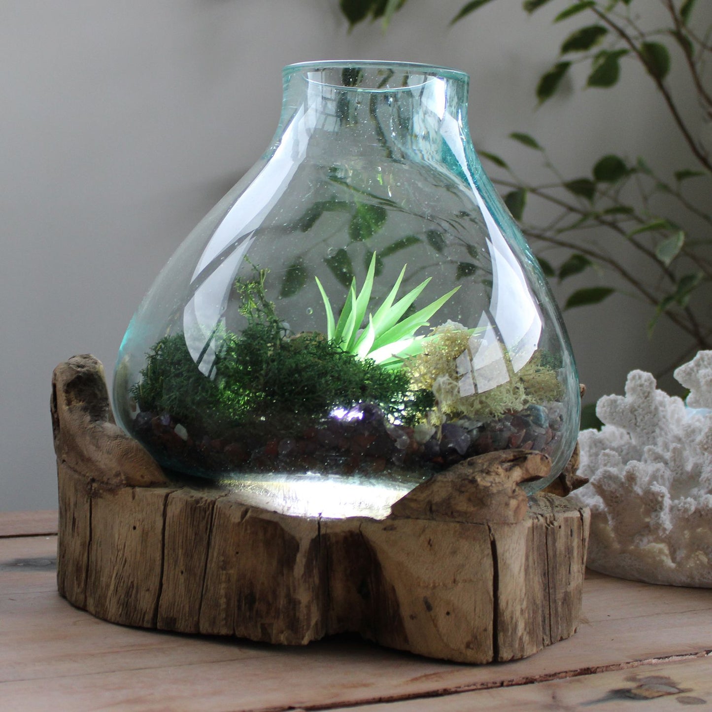 Molten Glass Large Fish Tank 3.7 litre - 30cm