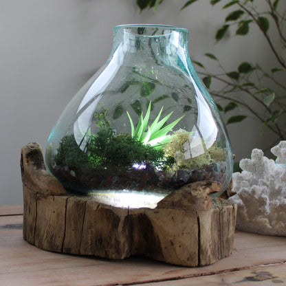 Molten Glass Large Fish Tank 3.7 litre - 30cm