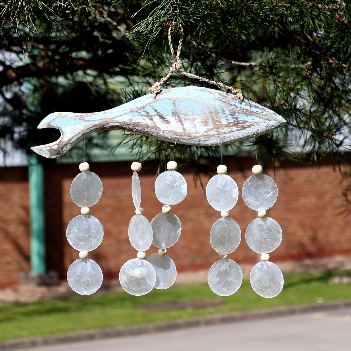 Bluewash Fish Carving and Natural Capiz Drop