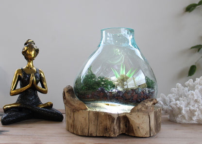 Molten Glass Large Fish Tank 3.7 litre - 30cm