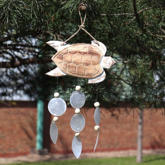 Whitewash Turtle Carving and Natural Capiz Drop