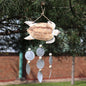 Whitewash Turtle Carving and Natural Capiz Drop