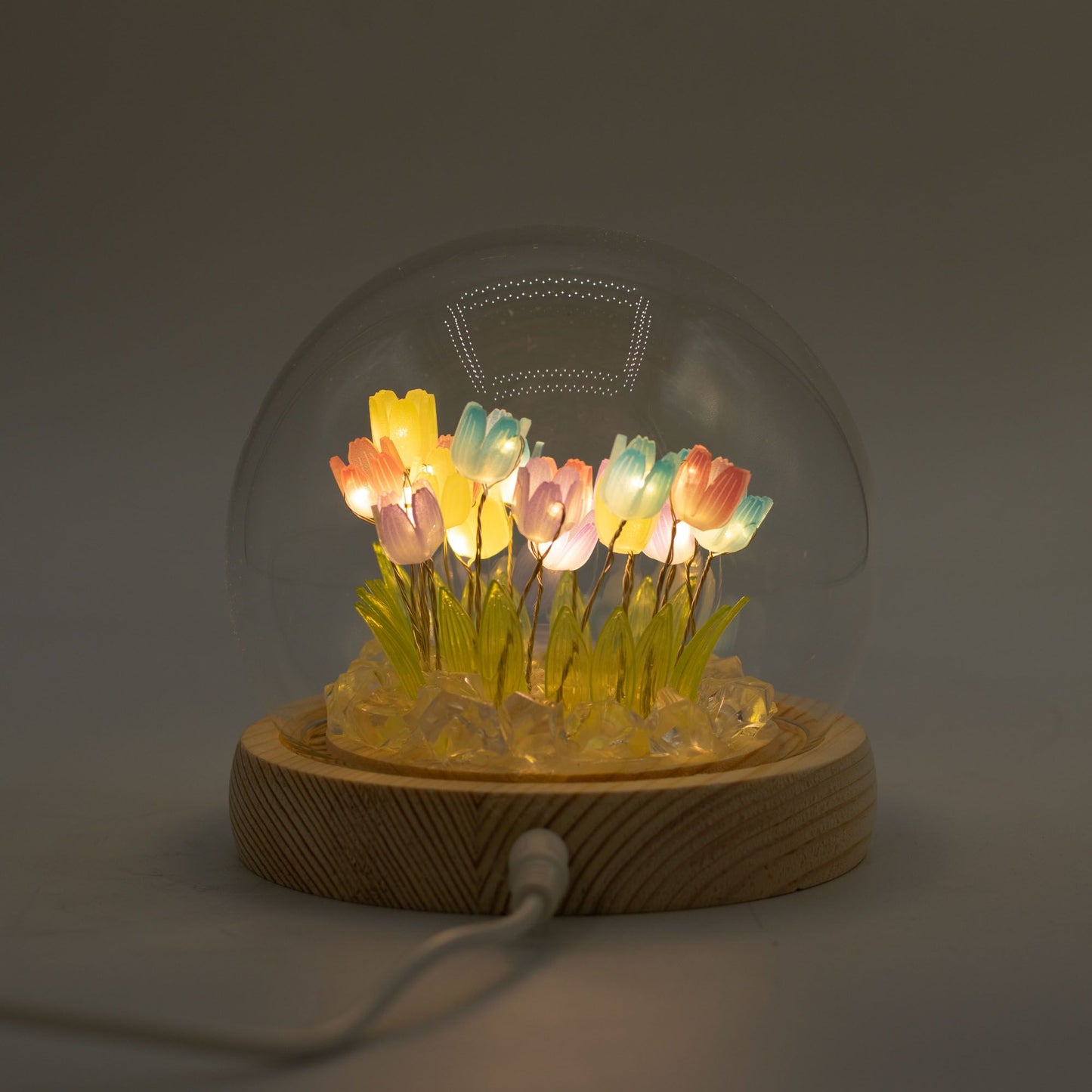 Floral Glow Garden Dome - 20 Multi Tulips - LED USB