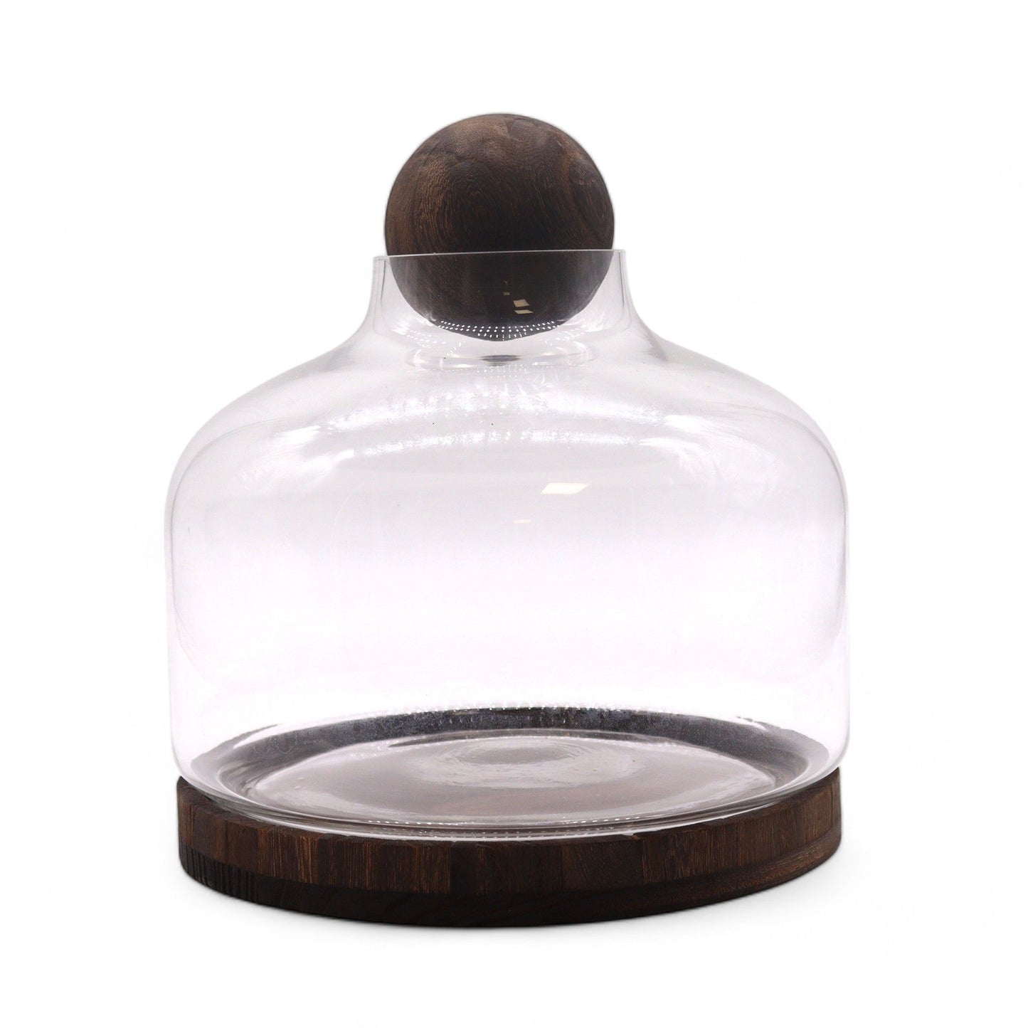 Extra Large Ball Top Terrarium on Dark Tung Wood