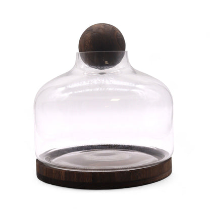 Extra Large Ball Top Terrarium on Dark Tung Wood