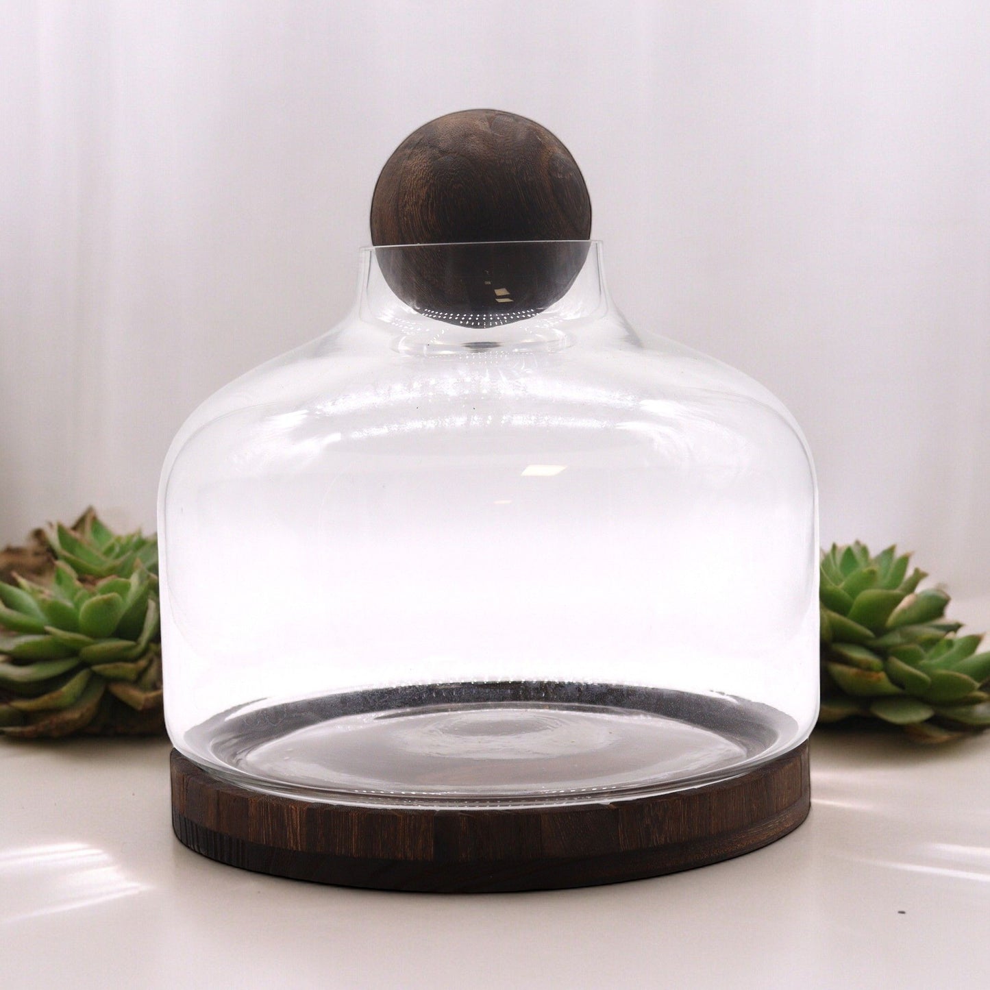 Glass terrarium with wooden base and lid on a white surface with succulents in the background