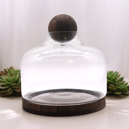 Glass terrarium with wooden base and lid on a white surface with succulents in the background