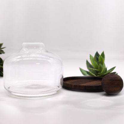 Extra Large Ball Top Terrarium on Dark Tung Wood