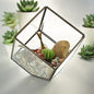 Glass Terrarium - Cube on Corner