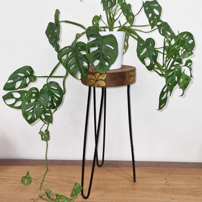 Albasia Wood Plant Stand - Natural & Gold Detail