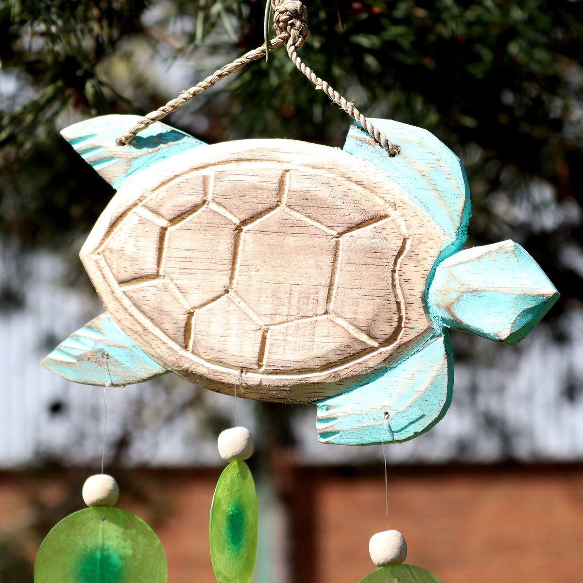 Aqua Turtle Carving and Capiz Drop