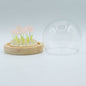 Floral Glow Garden Dome - 10 Pink Roses - LED USB