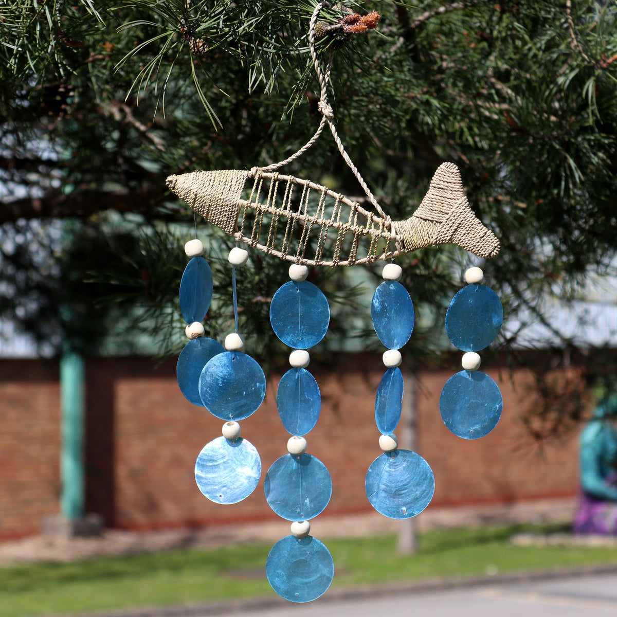 String Fish and Blue Capiz Drop