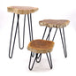 Set of 3 Gamal Wood Plant Stands - Whitewash