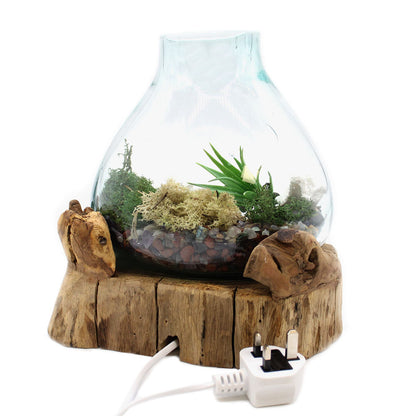 Molten Glass Large Fish Tank 3.7 litre - 30cm