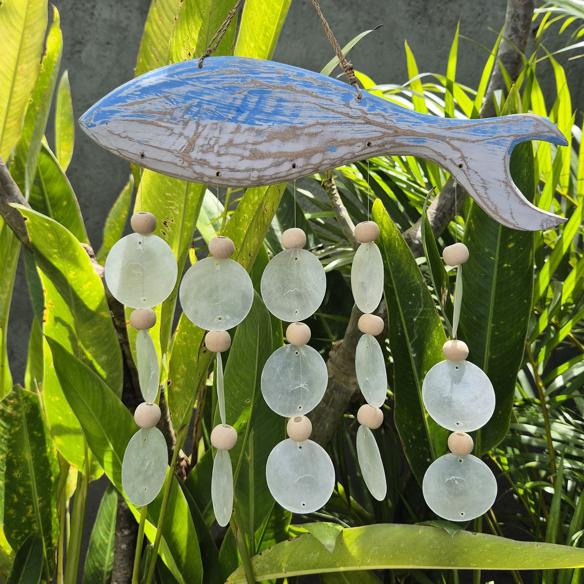 Bluewash Fish Carving and Natural Capiz Drop