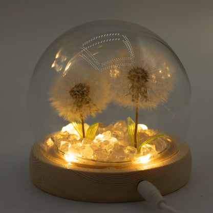 Floral Glow Garden Dome - 2 Dandelions - LED USB