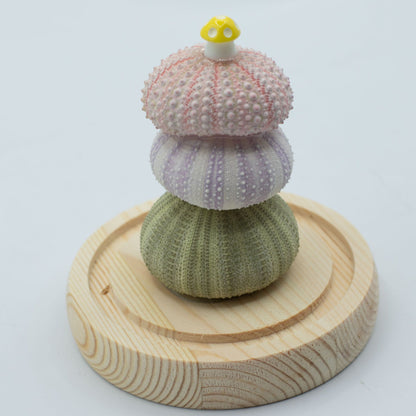 Floral Glow Garden Dome - 3 Sea Urchins - LED USB