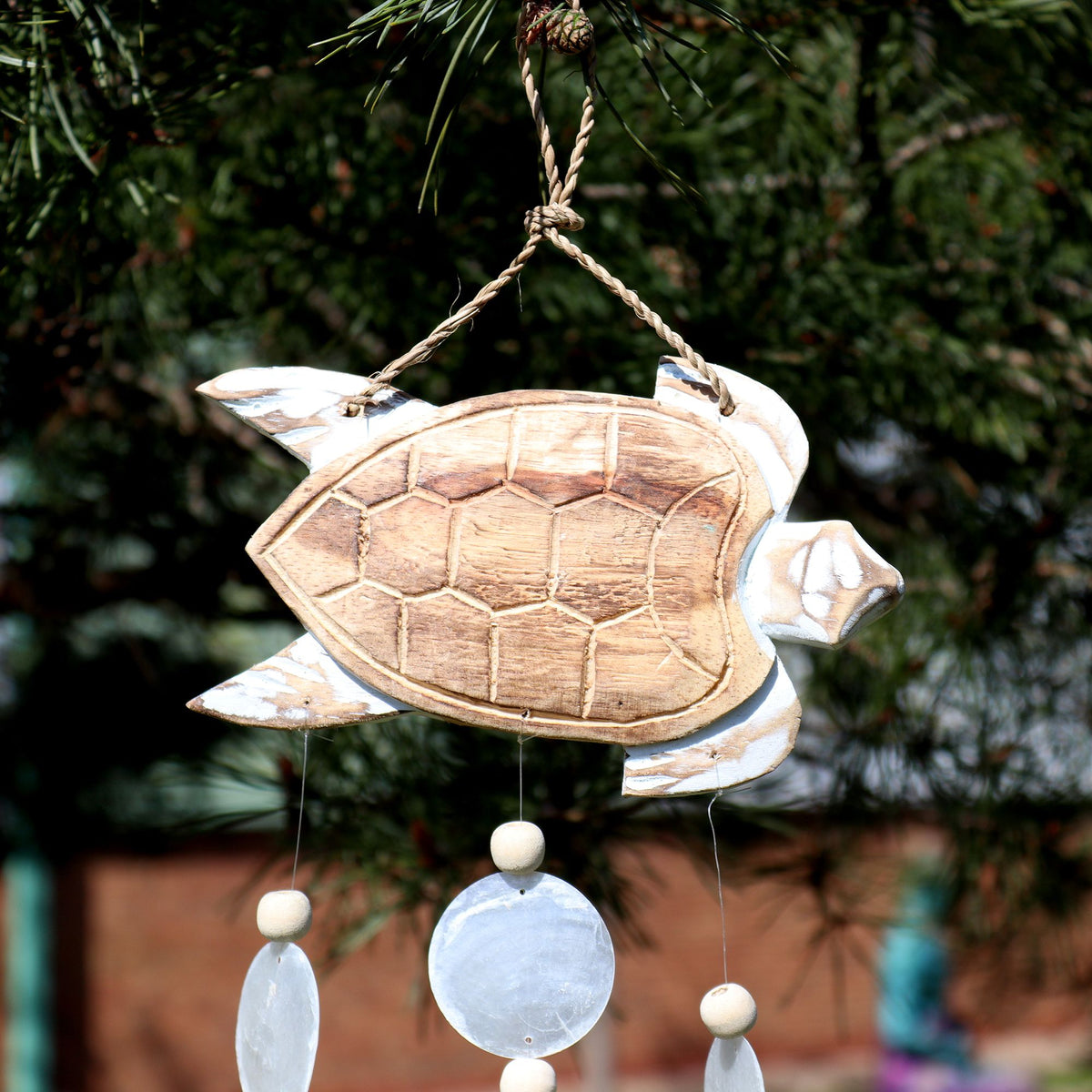 Whitewash Turtle Carving and Natural Capiz Drop