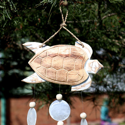 Whitewash Turtle Carving and Natural Capiz Drop