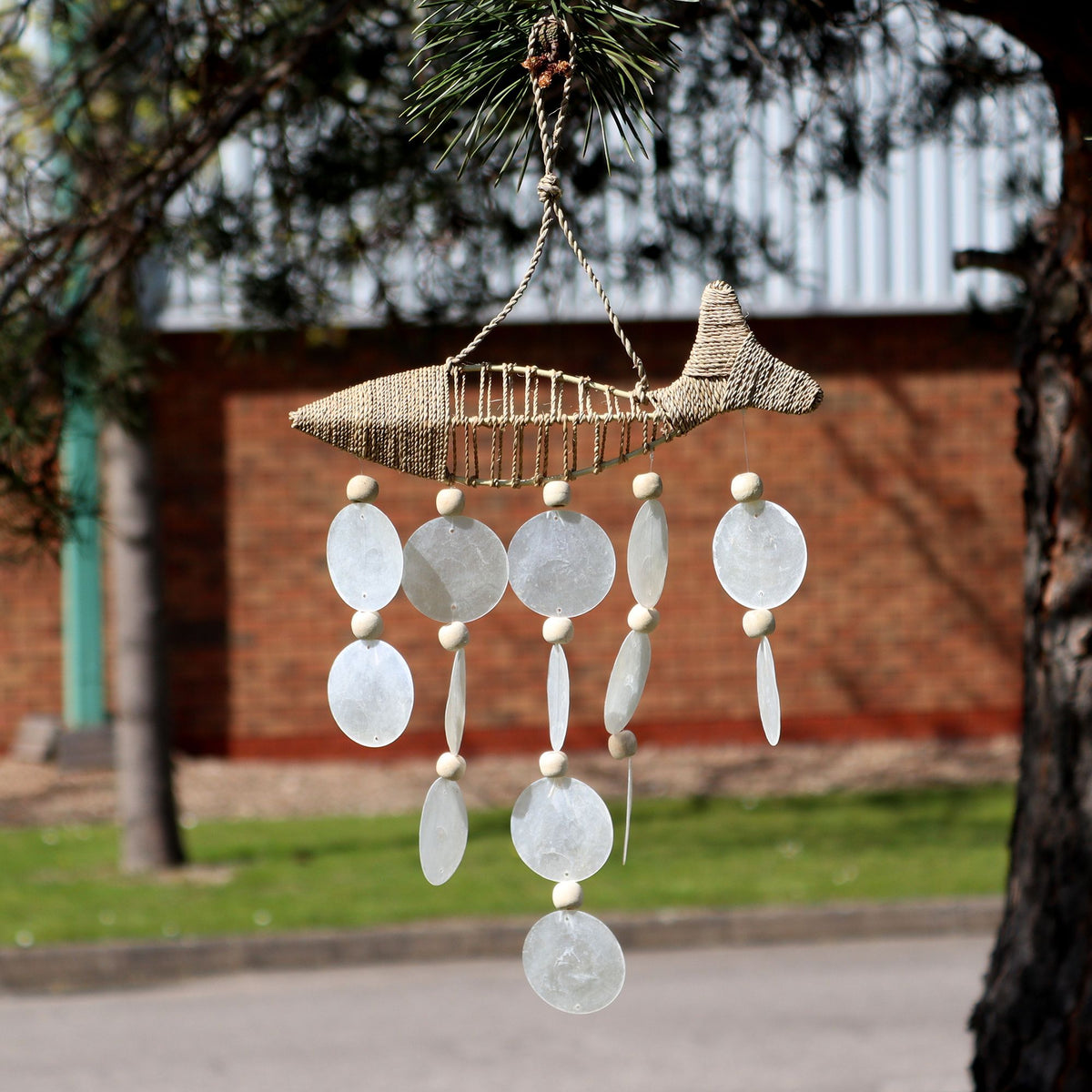 String Fish and Natural Capiz Drop