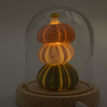 Floral Glow Garden Dome - 3 Sea Urchins - LED USB