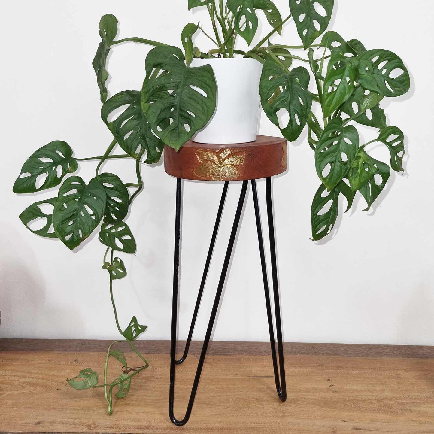 Albasia Wood Plant Stand - Whitewash & Gold Detail