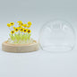 Floral Glow Garden Dome - 20 Sunflower - LED USB